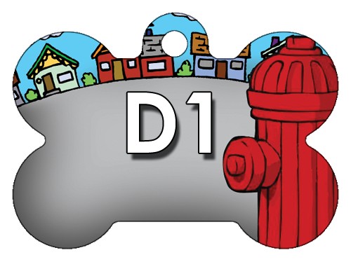 D1