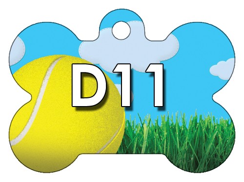 D11