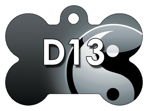 D13