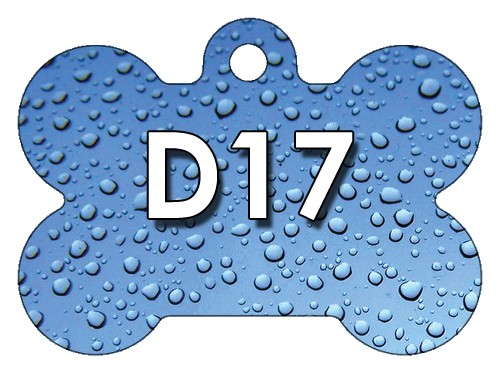 D17
