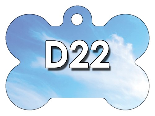 D22
