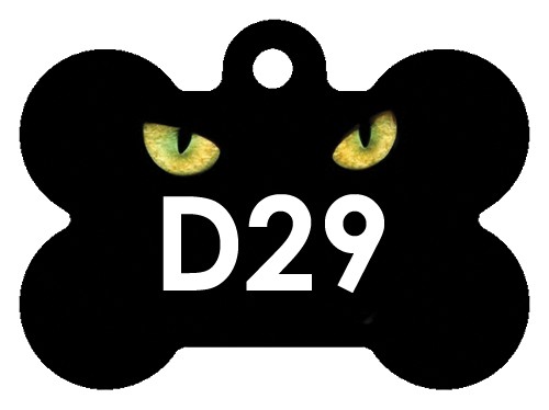 D29